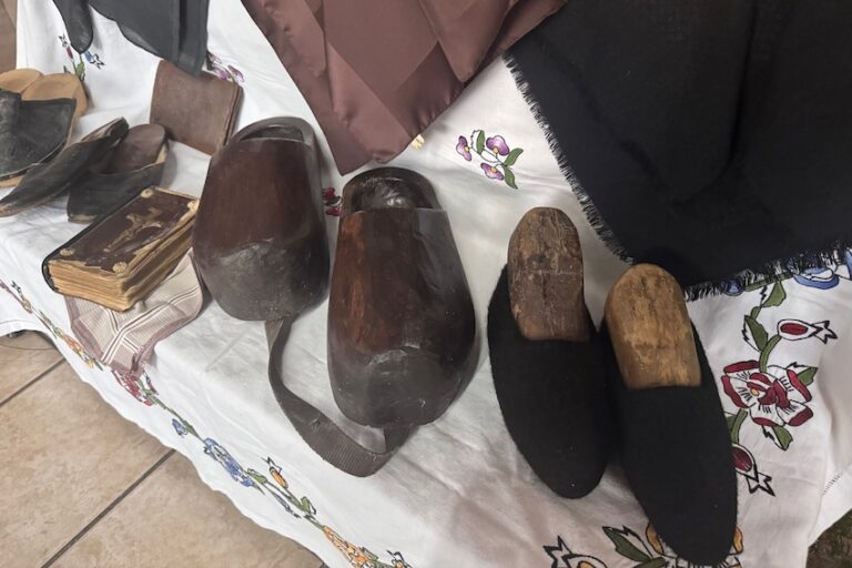 [FOTO] Petrijevci u znaku tradicije: počele 32. Žetvene svečanosti