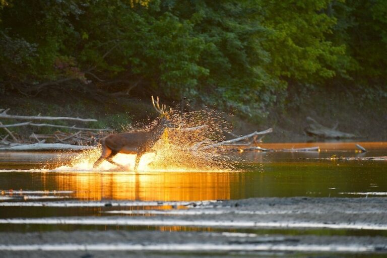 Imate oko za dobar kadar? RuralFoto 2026. nagrađuje najbolje fotografije