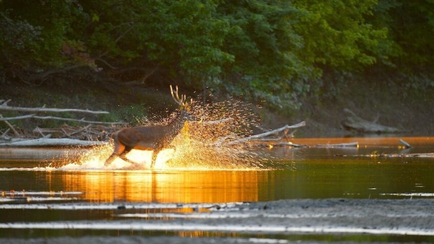 Imate oko za dobar kadar? RuralFoto 2026. nagrađuje najbolje fotografije