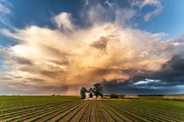 Imate oko za dobar kadar? RuralFoto 2026. nagrađuje najbolje fotografije