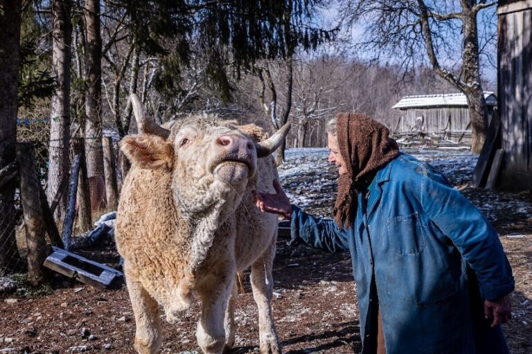 Imate oko za dobar kadar? RuralFoto 2026. nagrađuje najbolje fotografije