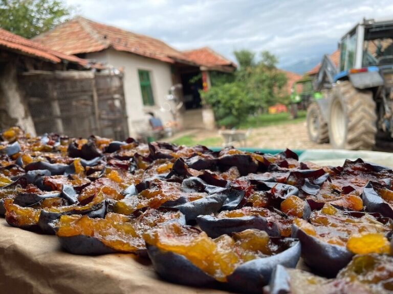 Imate oko za dobar kadar? RuralFoto 2026. nagrađuje najbolje fotografije