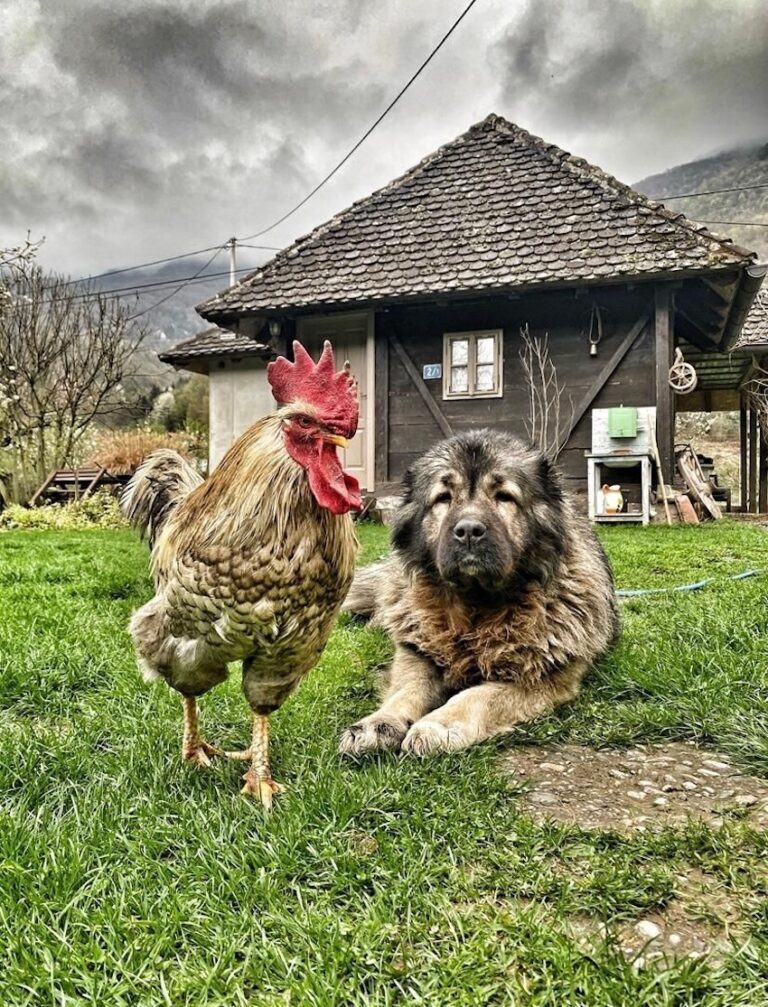 Imate oko za dobar kadar? RuralFoto 2026. nagrađuje najbolje fotografije
