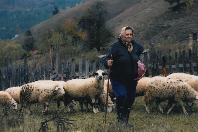Imate oko za dobar kadar? RuralFoto 2026. nagrađuje najbolje fotografije
