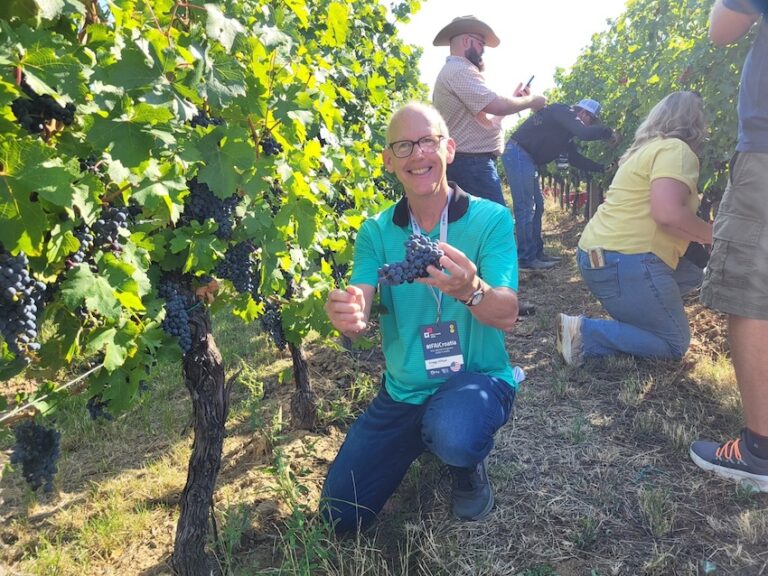 170 novinara iz 40 zemalja: Slavonija i Baranja predstavljene svijetu kroz više od 30 lokacija