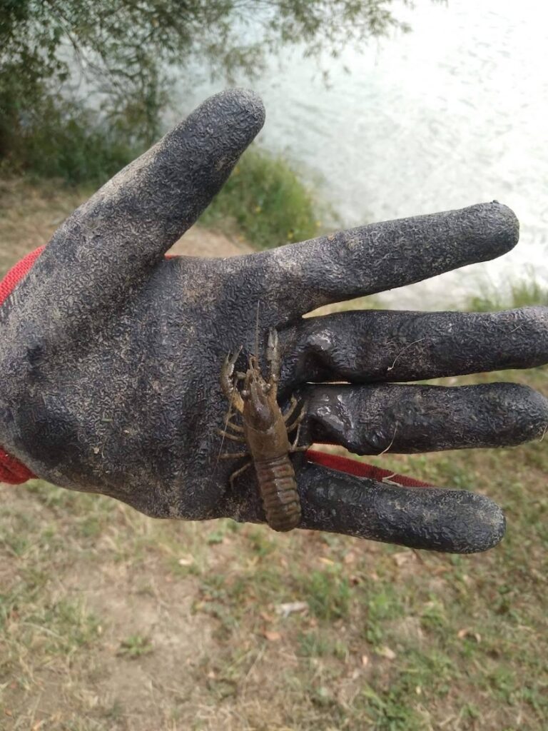 Izviđači na Bajeru spojili avanturu i ekologiju