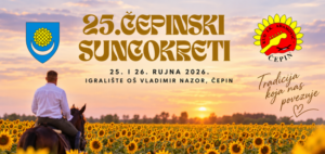 Slika događaja