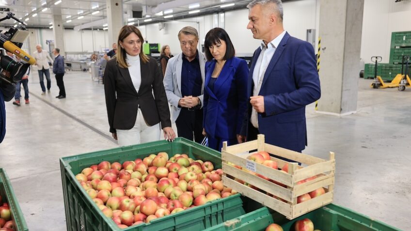 Rashladni kapaciteti puni do posljednjeg mjesta: U RDC-u uskladišteno više od 3000 tona voća i povrća