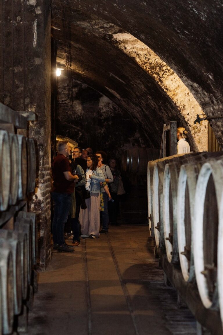 Osječko-baranjskoj županiji prestižna međunarodna nagrada Iter Vitis za najbolju promociju vinskog turizma
