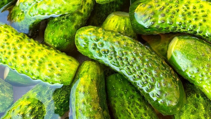 OPREZ! S polica Kauflanda povlače kisele krastavce zbog pesticida