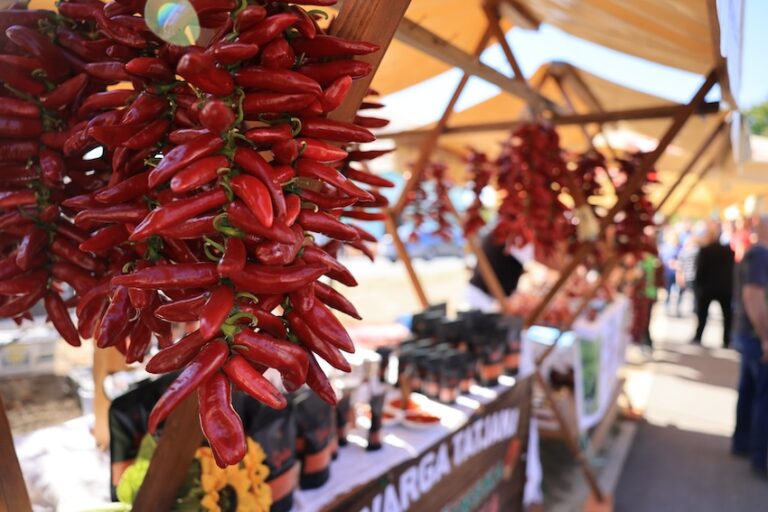 Baranja slavi svoju papriku: 17. Paprika Fest okupio proizvođače i ljubitelje domaćih okusa